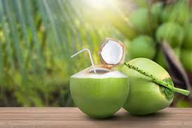 Coconut